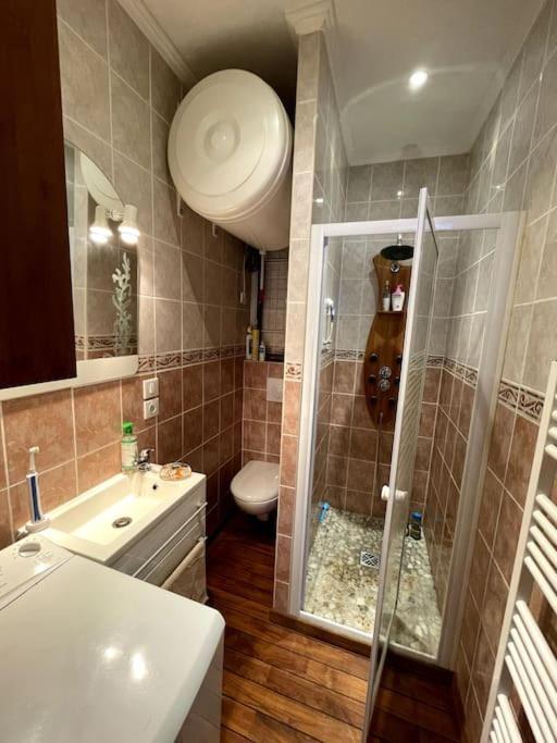 Apartment La Feessence Boisee Dore Le Mont-Dore